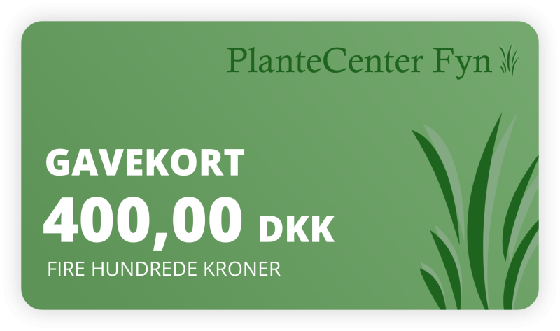 Gavekort    400 -
