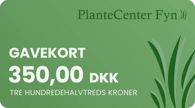 Gavekort    350 -
