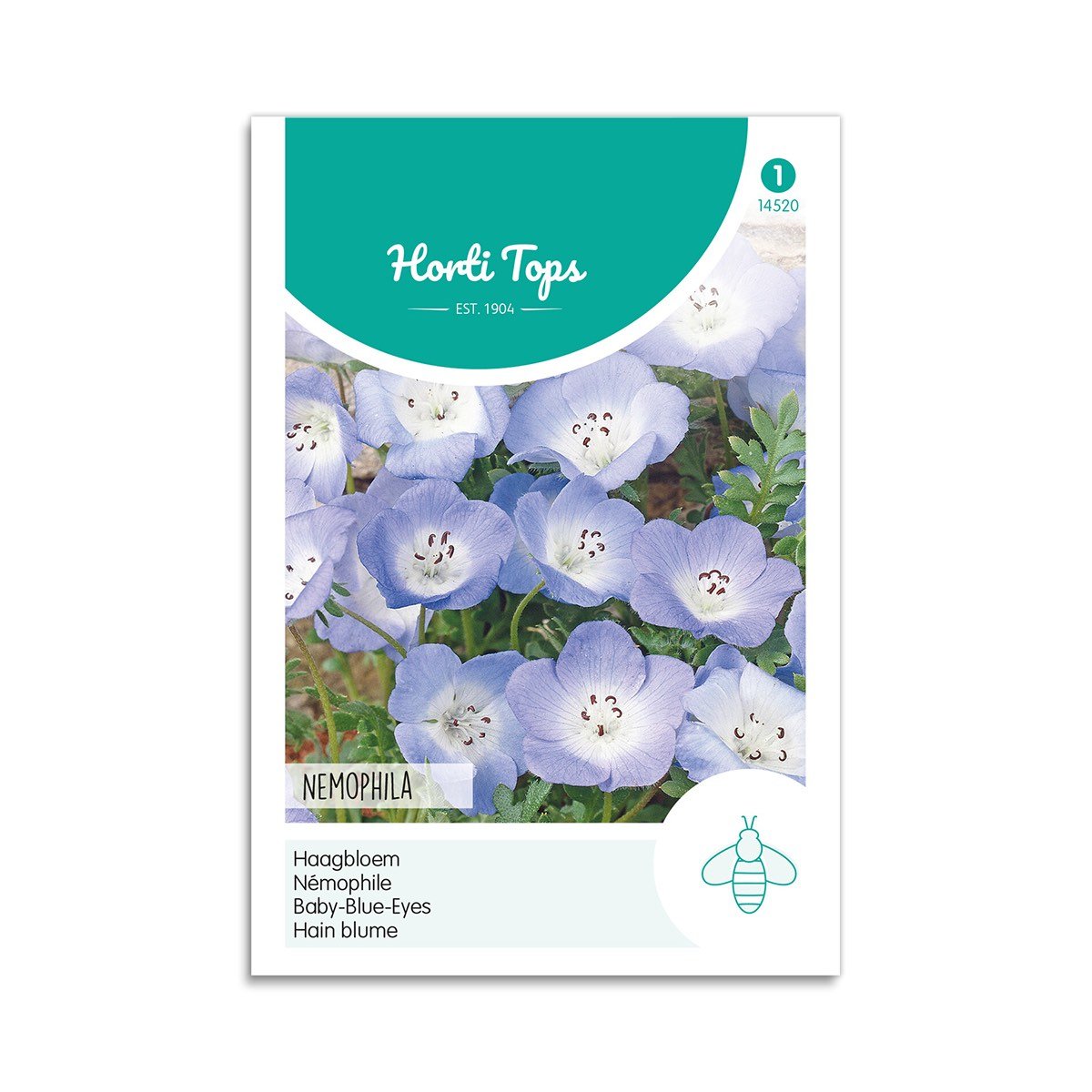 øjeblomst Frø Quot Baby Blue Eyes Quot Horti Tops