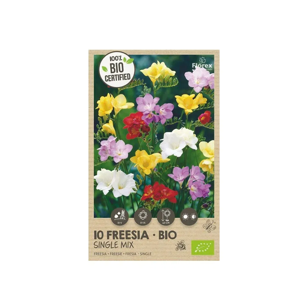 økologisk Fresia  Quot Single Mix Quot  10 Løg