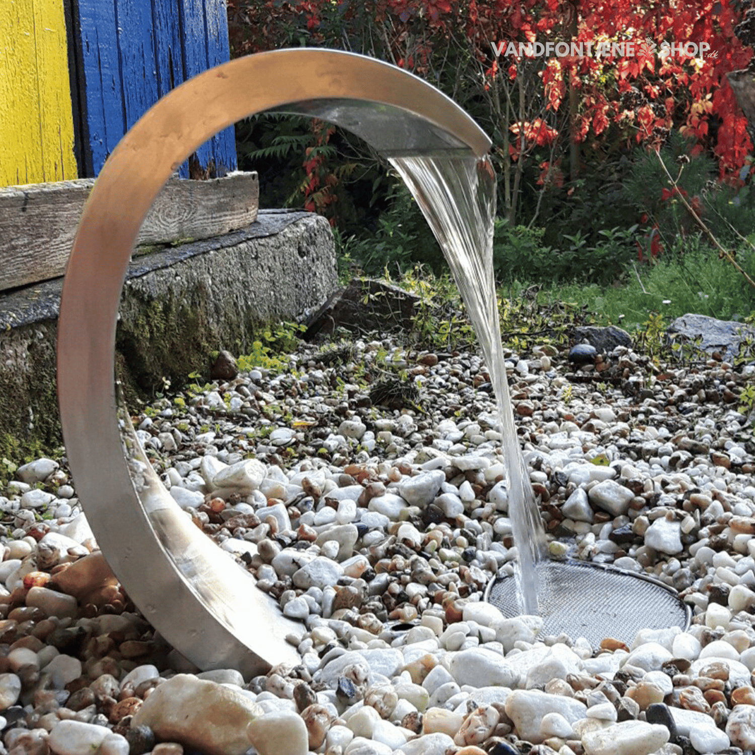 Delfin Springvand